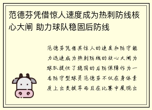 范德芬凭借惊人速度成为热刺防线核心大闸 助力球队稳固后防线